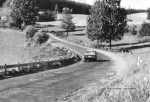 Foto: Janusz Laskowski